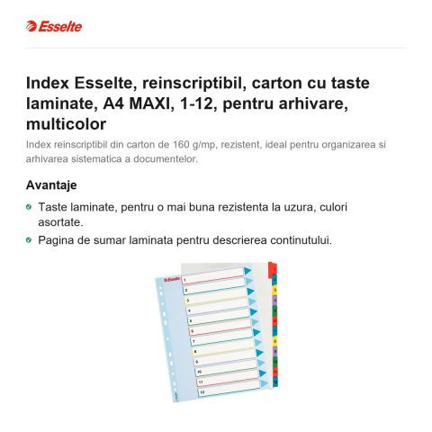 Index Esselte, reinscriptibil, carton cu taste laminate, A4 MAXI, 1-12, pentru arhivare, multicolor [1]