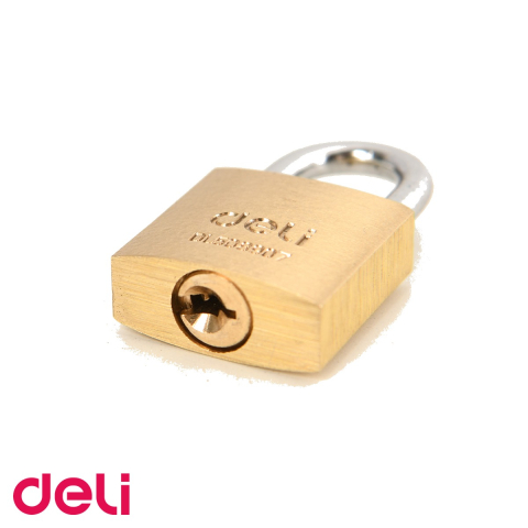 Lacat alama monobloc Deli, 20 mm, rezistent la coroziune, pentru porti, dulapuri si cutii de scule [3]
