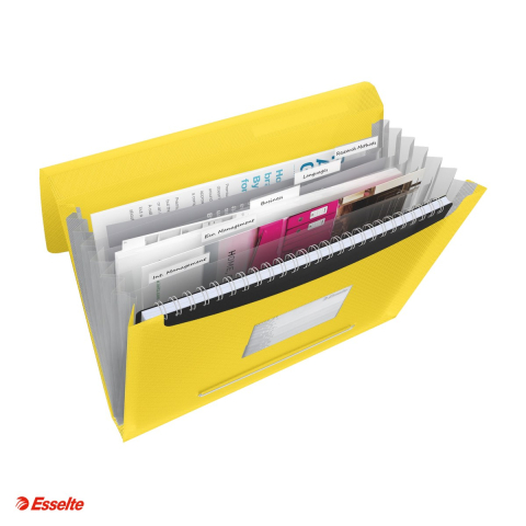 Mapa tip proiect Esselte VIVIDA, PP, A4, capacitate 300 coli, pentru transport, galben [3]
