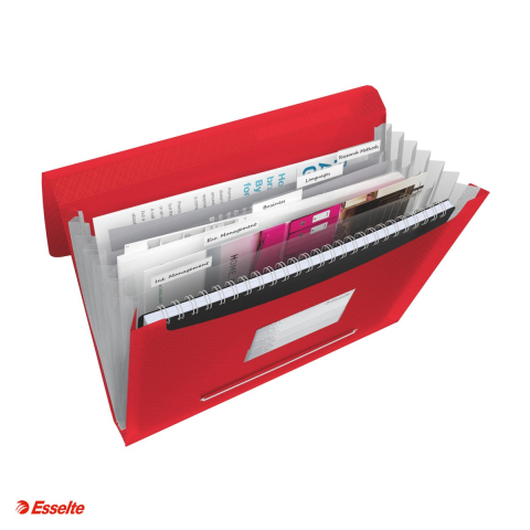 Mapa tip proiect Esselte VIVIDA, PP, A4, capacitate 300 coli, pentru transport, rosu [3]