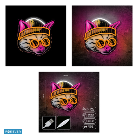 Neon LED Forever Light, Cat Dreamer, dimensiuni 295 x 18 x 325mm, cablu USB cu lungime 2m, multicolor [3]