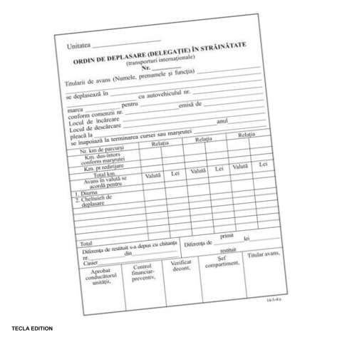 Formulare tipizate - Ordin de deplasare in strainatate, A5, 100 file