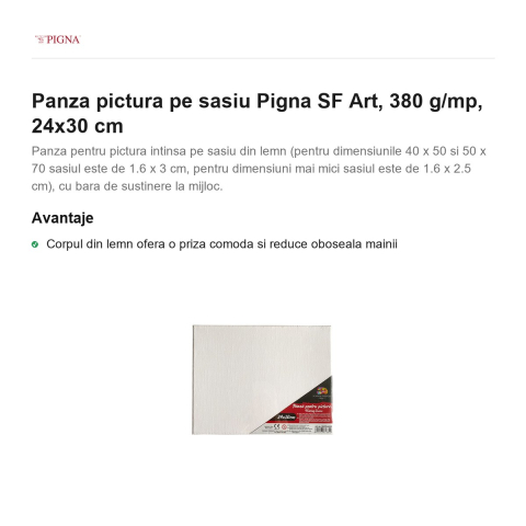 Panza pictura pe sasiu Pigna SF Art, 380 g/mp, 24x30 cm [1]