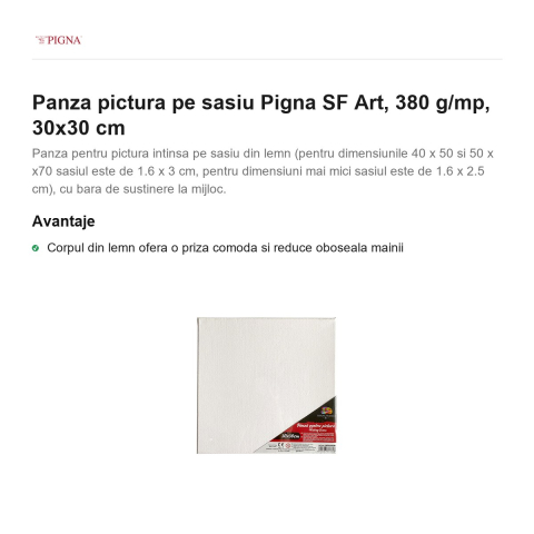 Panza pictura pe sasiu Pigna SF Art, 380 g/mp, 30x30 cm [1]