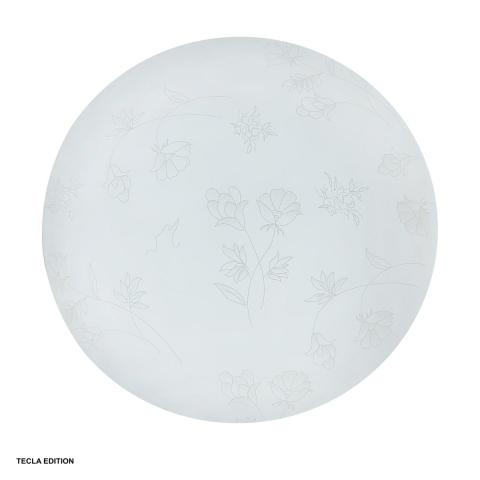 Corpuri iluminare - Plafoniera LED FLOWER DL75036, 13 W, 6400 K lumina rece, diametru 230 mm