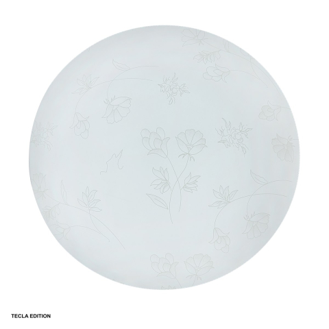 Corpuri iluminare - Plafoniera LED FLOWER DL75039, 18 W, 6400 K lumina rece, diametru 300 mm
