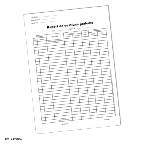 Formulare tipizate - Raport de gestiune periodic, A4, 100 file