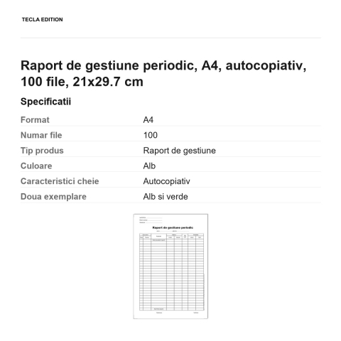 Raport de gestiune periodic, A4, autocopiativ, 100 file, 21x29.7 cm [2]