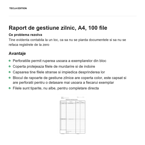 Raport de gestiune zilnic, A4, 100 file [1]