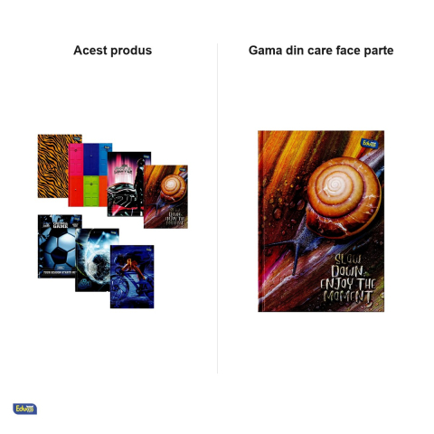 Registru Educa A5, 96 file, matematica, 60 g/mp, coperta diverse modele, 148x210 mm [4]