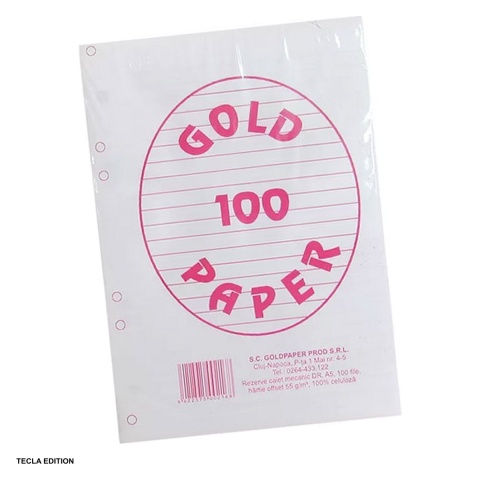 Birotica papetarie - Rezerva caiet mecanic A5, 100 file, dictando, 6 perforatii