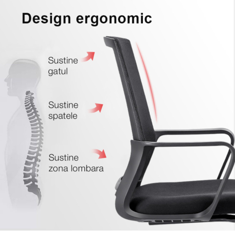 Scaun Birou Ergonom cu Spatar Mesh si Suport Lombar, pentru Birou si Home Office, Ventilatie si Confort Maxim [2]