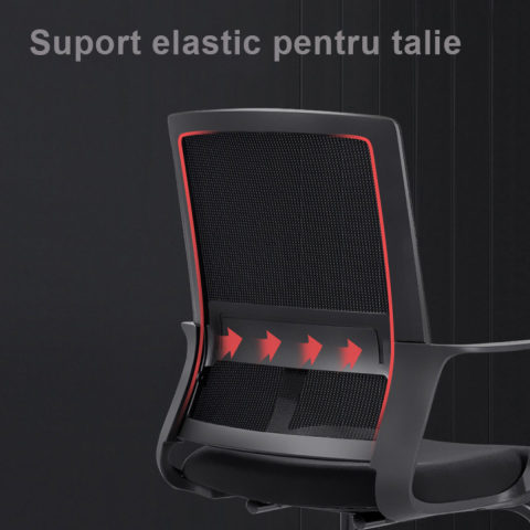 Scaun Birou Ergonom cu Spatar Mesh si Suport Lombar, pentru Birou si Home Office, Ventilatie si Confort Maxim [5]