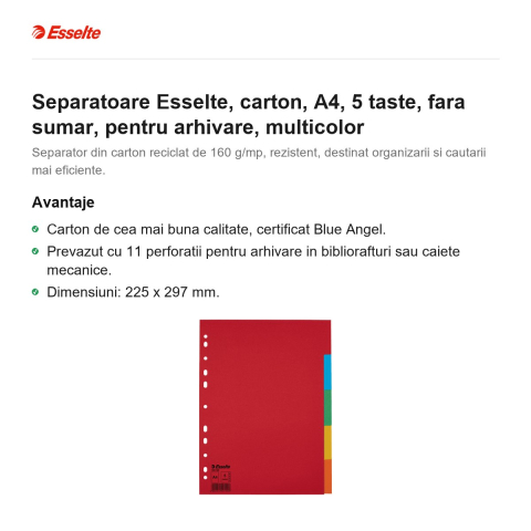 Separatoare Esselte, carton, A4, 5 taste, fara sumar, pentru arhivare, multicolor [1]