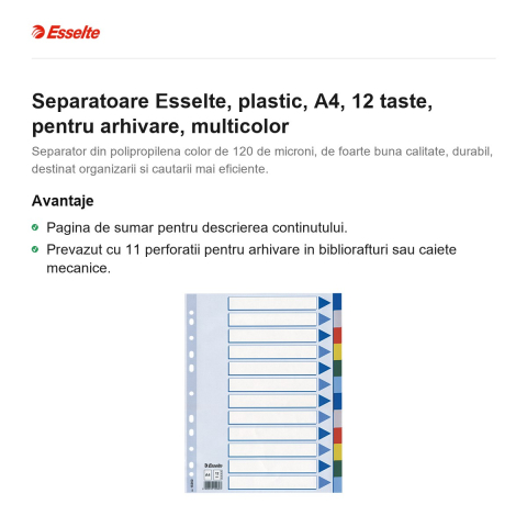 Separatoare Esselte, plastic, A4, 12 taste, pentru arhivare, multicolor [1]