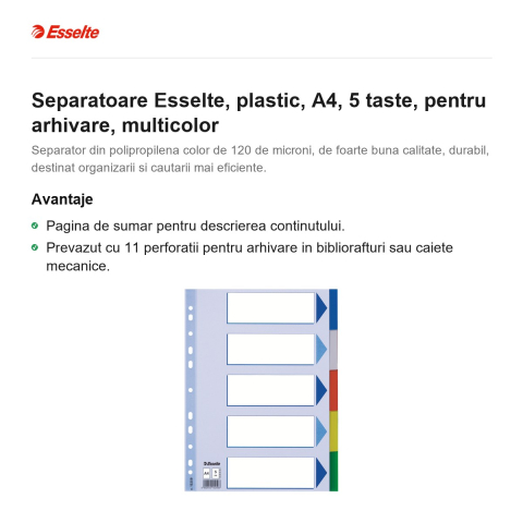 Separatoare Esselte, plastic, A4, 5 taste, pentru arhivare, multicolor [1]