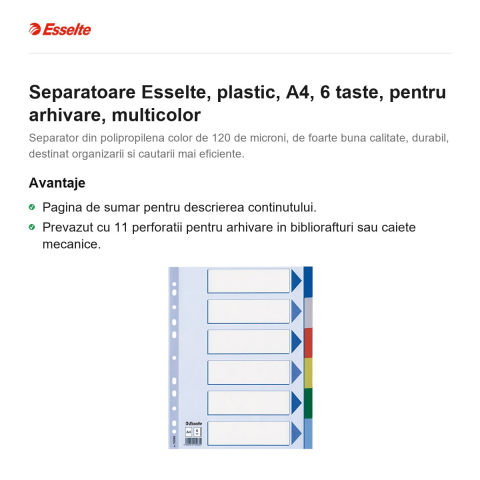 Separatoare Esselte, plastic, A4, 6 taste, pentru arhivare, multicolor [1]