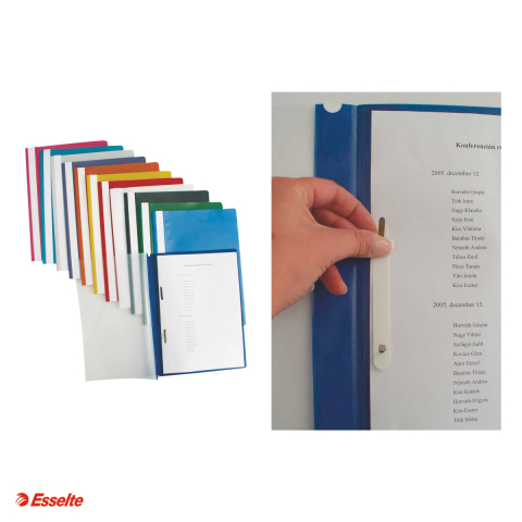 Set 10 dosare cu sina Esselte, PP, A4, capacitate 160 coli, pentru arhivare, albastru inchis [3]