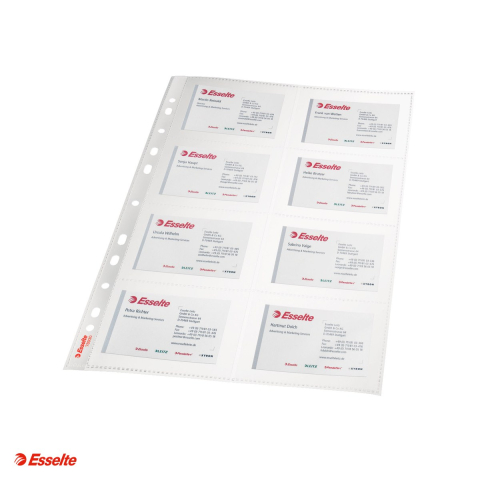 Set 10 folii de protectie Esselte, PP, A4, pentru carti de vizita, 105 microni, cristal, pentru arhivare, incolor [3]