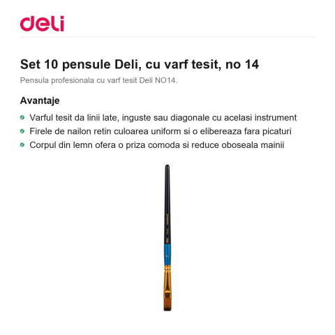 Set 10 pensule Deli, cu varf tesit, no 14 [1]