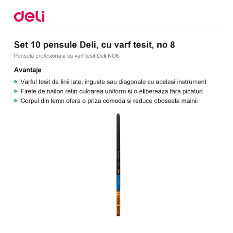 Set 10 pensule Deli, cu varf tesit, no 8 [1]