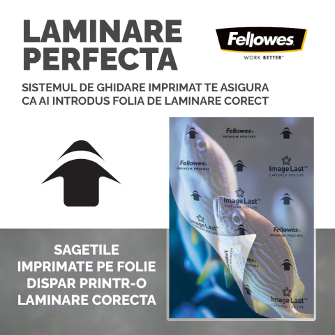Set 100 folii laminare Fellowes, format A4, 100 microni, finisaj lucios, pachet 100 bucati, pentru protectie medie a documentelor [3]