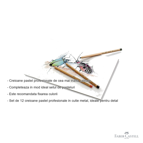Set 12 creioane pastel Pitt Faber-Castell, mina groasa 4.3 mm, pentru artisti profesionisti [1]