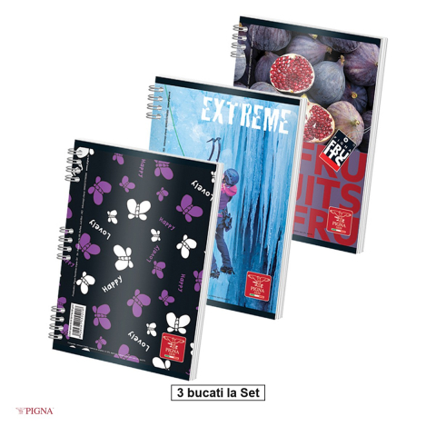 Caiete A5 - Set 3 caiete Pigna A5 Aritmetica Color, 50 file, matematica, 60 g/mp, spira