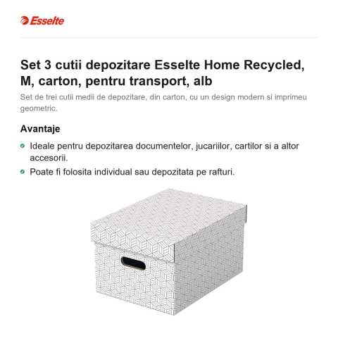 Set 3 cutii depozitare Esselte Home Recycled, M, carton, pentru transport, alb [1]