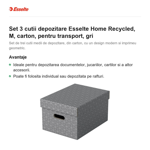 Set 3 cutii depozitare Esselte Home Recycled, M, carton, pentru transport, gri [1]