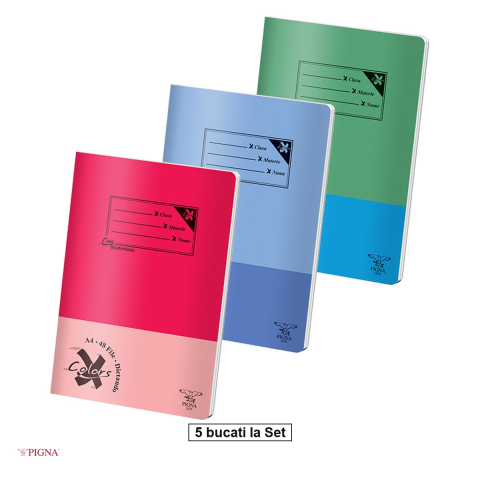 Caiete A4 - Set 5 caiete Pigna Basic, A4, 48 file, dictando