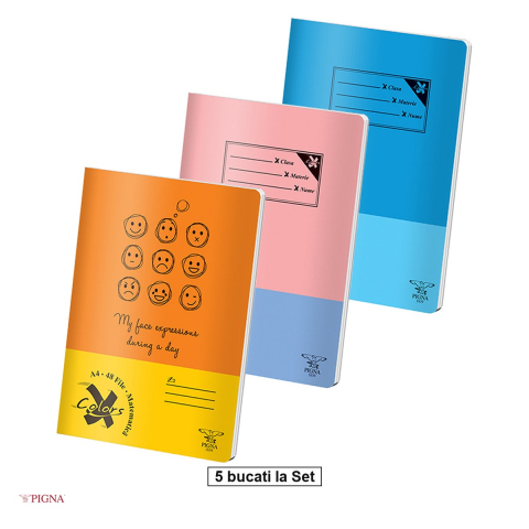 Caiete A4 - Set 5 caiete Pigna Basic, A4, 48 file, matematica, aritmetica