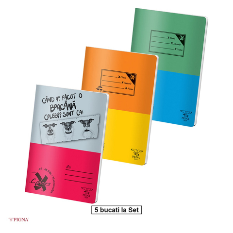 Caiete A5 - Set 5 caiete Pigna Basic, A5, 48 file, matematica, aritmetica