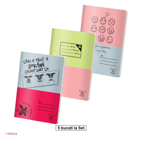 Birotica papetarie - Set 5 caiete Pigna Basic, A5, 60 file, dictando