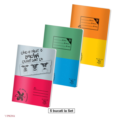 Caiete A5 - Set 5 caiete Pigna Basic, A5, 80 file, matematica, aritmetica