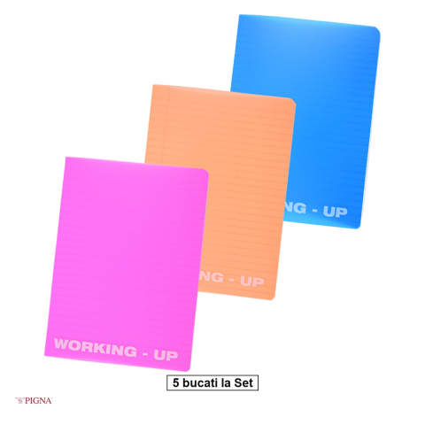 Caiete A5 - Set 5 caiete Pigna Working Up, A5, din plastic, 48 file, dictando, coperta pp