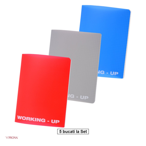 Birotica papetarie - Set 5 caiete Pigna Working Up, A5, din plastic, 48 file, matematica, aritmetica, coperta pp