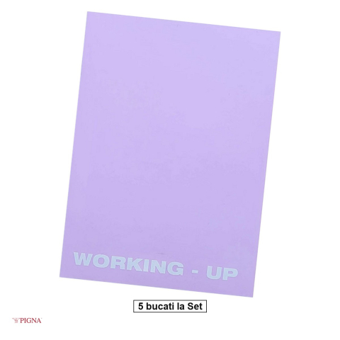 Caiete A5 - Set 5 caiete Pigna Working Up, A5, din plastic, 48 file, velin, coperta pp