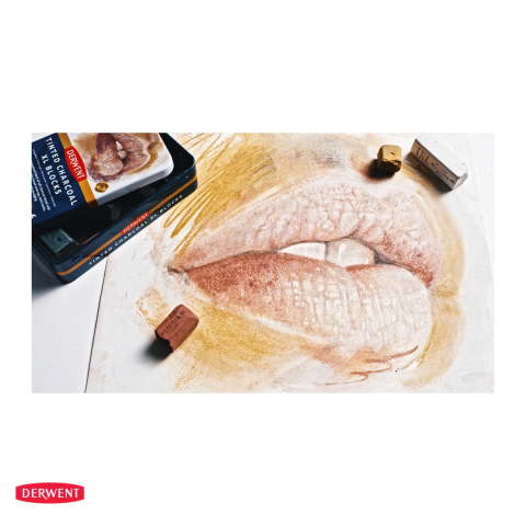 Set 6 batoane carbune solubil Derwent Inktense XL, nuante pamantii, in cutie metalica [4]