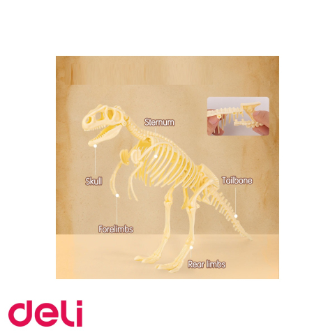 Set creativ Deli Fossile Detective Tyrannosaurus, kit descoperire fosile dinozaur, pentru copii peste 6 ani [4]