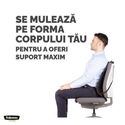 Suport ergonomic pentru spate Fellowes Professional Mesh, din plasa, 19.53 x 30.32 x 36.99 cm [4]