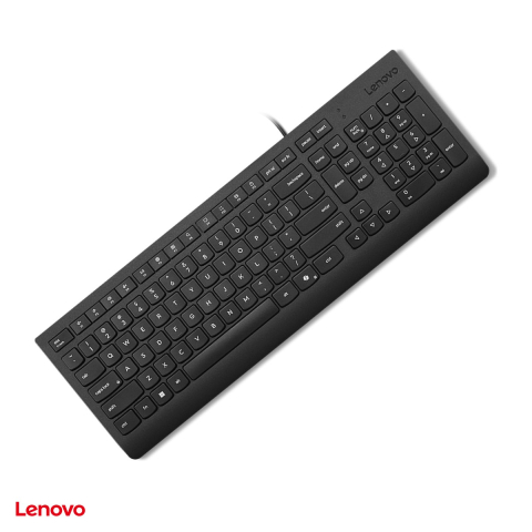 Accesorii IT - Tastatura cu fir Lenovo Essential Wired Keyboard, USB, 105 taste, tasta Copilot, taste silentioase, rezistenta la stropire, layout romanesc, negru, 4Y41R64661