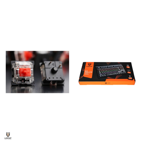 Tastatura mecanica Liocat gaming Kx 366+ Cm, Outemu Red, qwerty, cablu USB 1.8m, anti-ghost, RGB, Neagra [4]