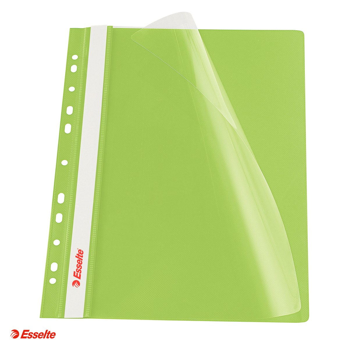 Set 10 dosare cu sina Esselte VIVIDA, multiperforatii, PP, A4, capacitate 160 coli, pentru documente perforate, verde [1]