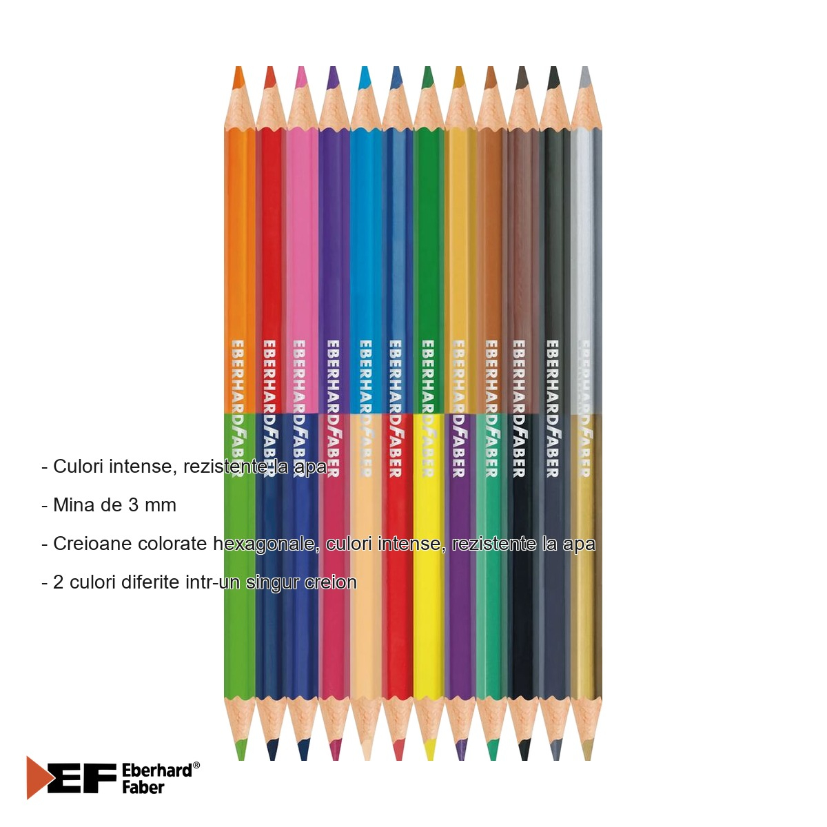 Set 12 creioane colorate bicolore Eberhard Faber, mina 3 mm, 24 culori intense, pentru scoala si activitati creative [2]