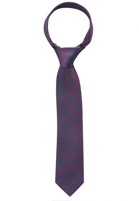 Cravata barbati, model 9500/15 Eterna [4]