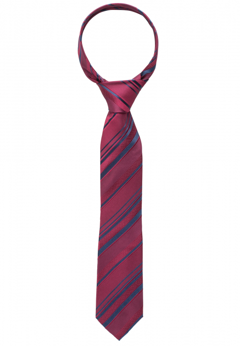 Cravata barbati, model 9501 58 Eterna image6