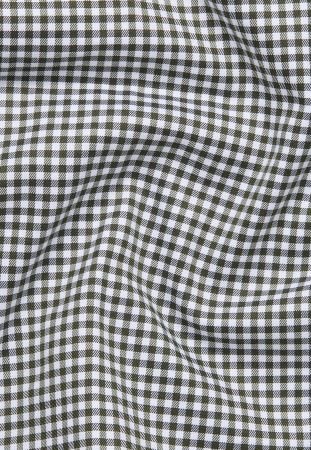 Camasa caro, modern fit, pentru barbati, 100% bumbac, maneca lunga, model 2416/47 XS84 Eterna [3]