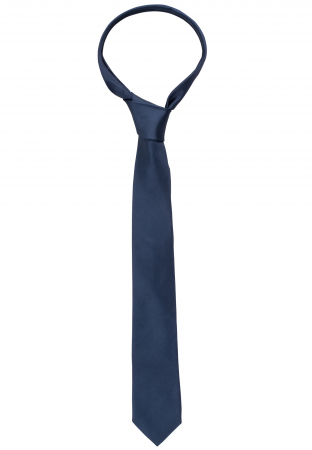 Cravate matase 100% - Cravata barbati, model 9029/19 Eterna