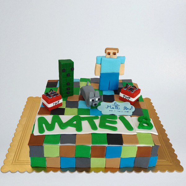 Minecraft - Matei [1]